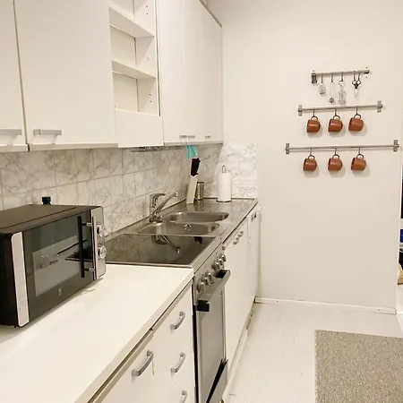 Spacious In Heart Of * Rovaniemi