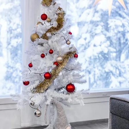 Apartment Kodikas Paritalohuoneisto *