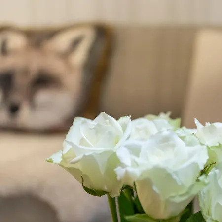 Apartment Vasko Luxurious Suites, Luppo