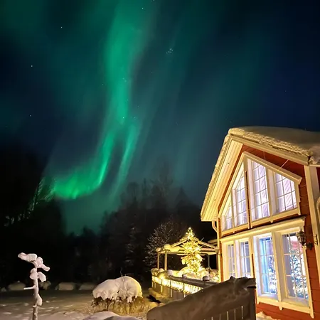 Villa Arcticmint