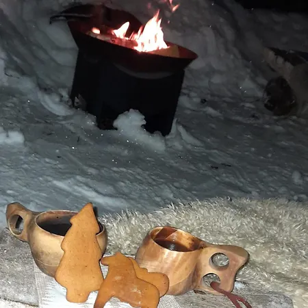 Lapland Winter * Rovaniemi