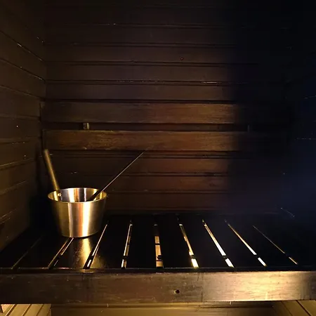 Huoneisto Aurora - Loft-sauna-wifi *