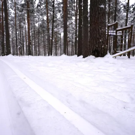 Aurora - Loft-sauna-wifi Huoneisto