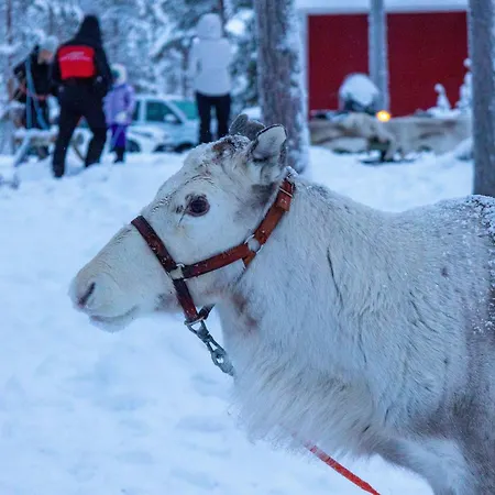 Skyfire Village Igloos - Includes Transportation, Meals&accommodation * Rovaniemi