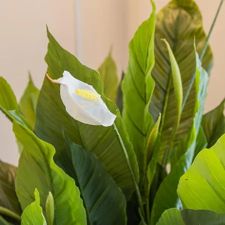 Snowflake Suites, Pet Friendly * Rovaniemi