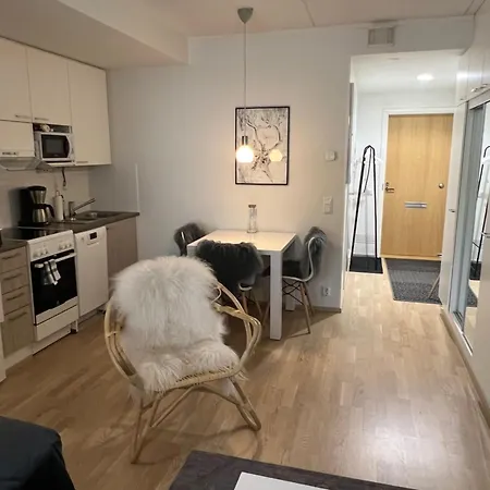 Apartment Next To The Railway Station Rovaniemi