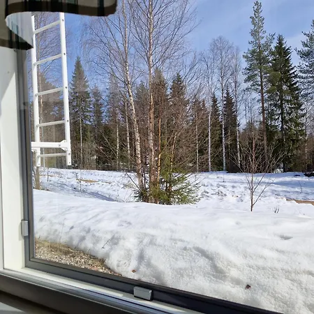 Blueberry House With Private Sauna&free Parking Apartment *