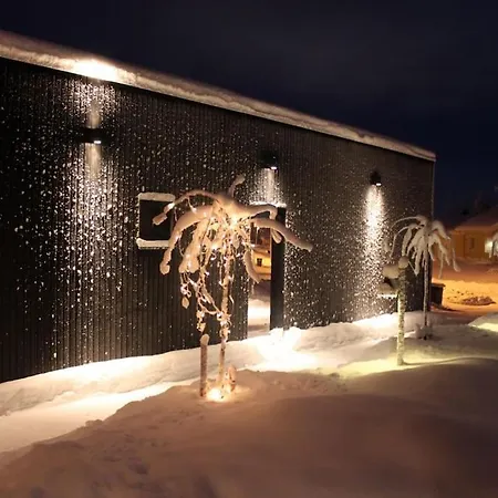 Arctic Modern