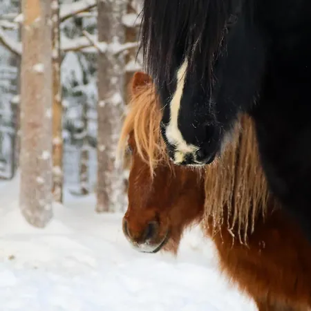Kotatuli Forest Séjour à la campagne Rovaniemi