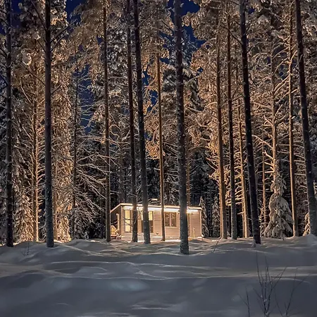 Kotatuli Forest Séjour à la campagne Rovaniemi