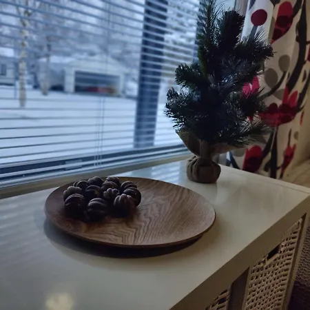 Apartment Nordic Style Home, 2 Bedroom Rovaniemi