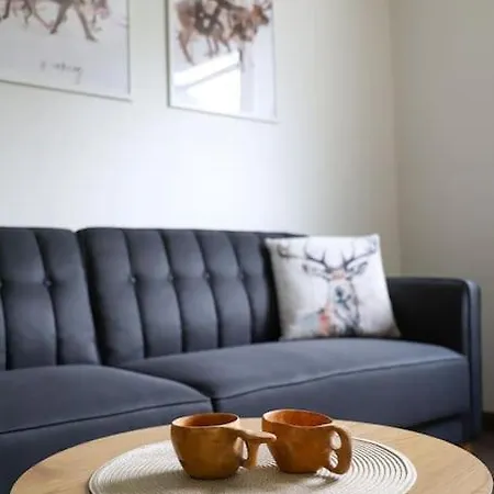 Appartement Centre Rovaniemi