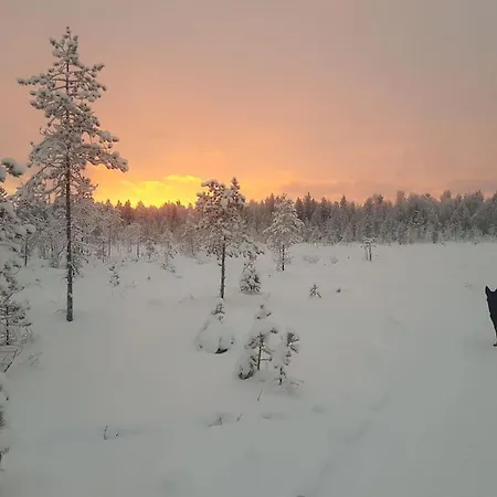 Santa's * Rovaniemi