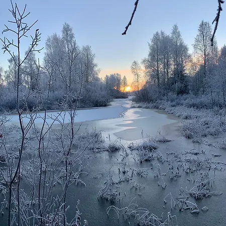 The Saunacabin Enchanted Lapland Holiday home Rovaniemi