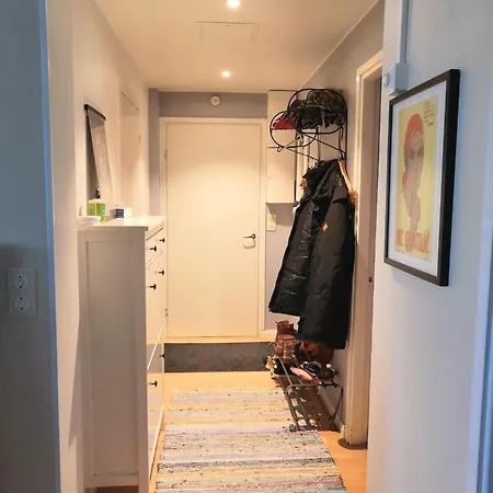 Apartment Scandinavian Art With Sauna