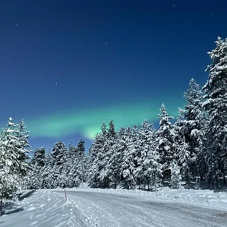 Kataja * Rovaniemi