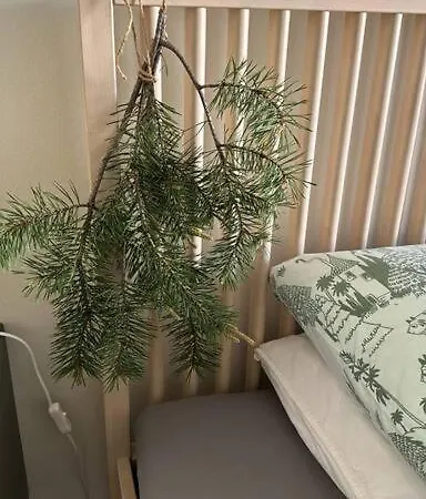 Apartment Boreal Forest Uittomestari *