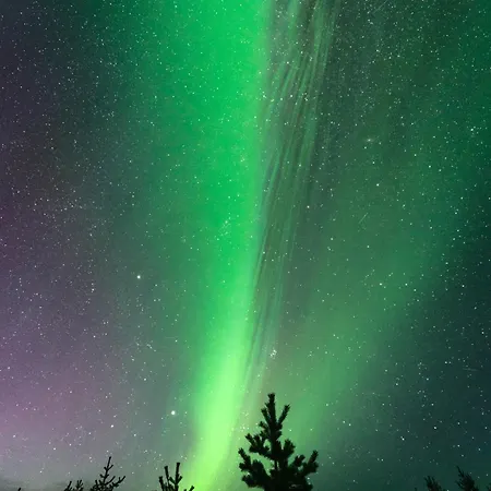 Arctic Aurora *