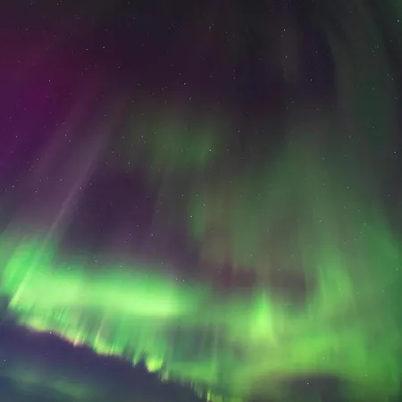Aurora Norva * Rovaniemi