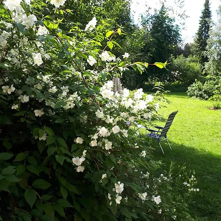 Cozy And Calm House W 3 Bedroom And Bus Connection To Santa Claus Holiday home Rovaniemi
