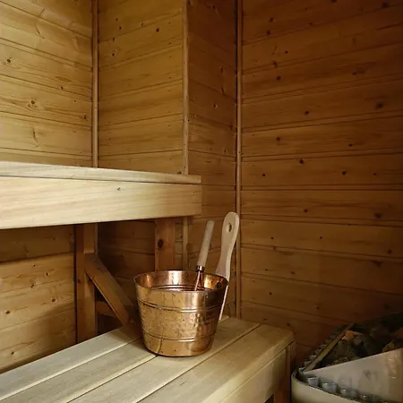 Apartment Scandinavian Art With Sauna