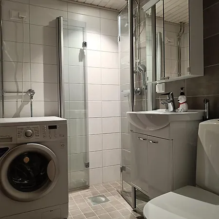 Apartment Scandinavian Art With Sauna