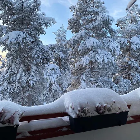 Magic Winter Forest Apartment Rovaniemi