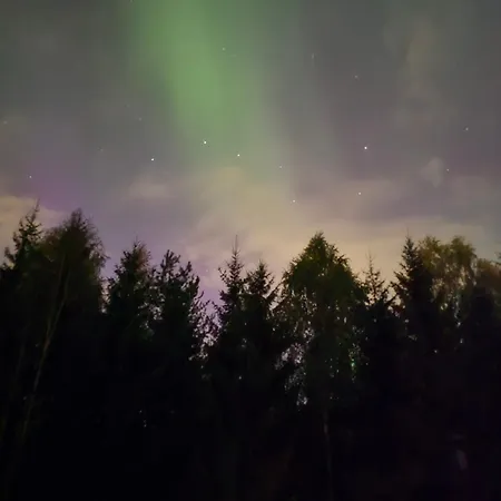 Pare Rovaniemi