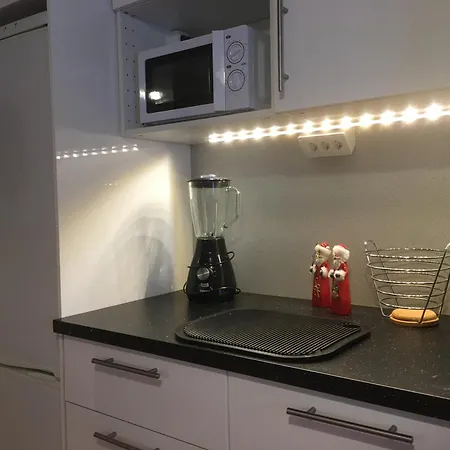Apartment Aurora-center 1 *