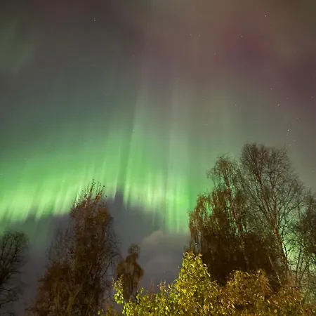 Nordic Katajaranta * Rovaniemi