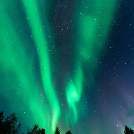 Aurora With Jacuzzi * Rovaniemi