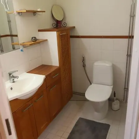 Apartment 130m2 With Sauna In Citycenter