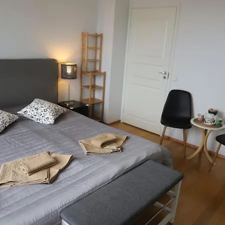 Apartment 130m2 With Sauna In Citycenter *