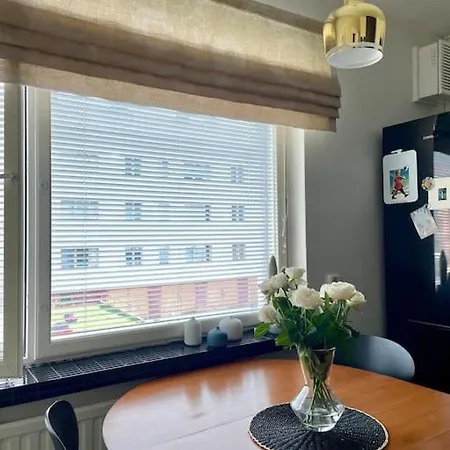 Kodikas Huoneisto Keskustan Laehellae Apartment Rovaniemi