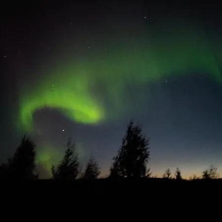 Lapland Forest Apartment Rovaniemi
