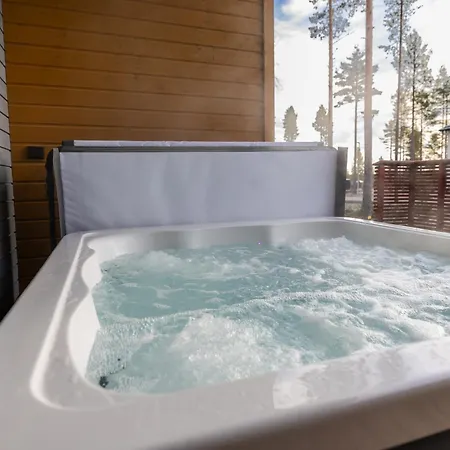 Blueberry Rovaniemi