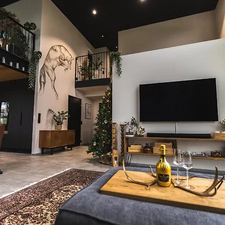Arctic Loft-style Dream