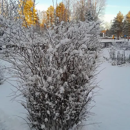Holiday home Traditional House Rovaniemi