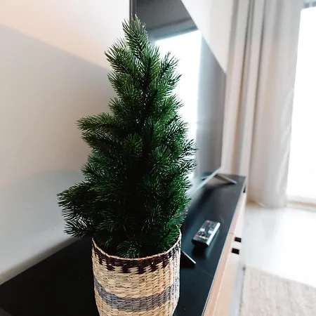 Apartment Aava 6 *