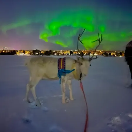 Lapland Reindeer Farm Villa *