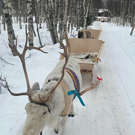Lapland Reindeer Farm