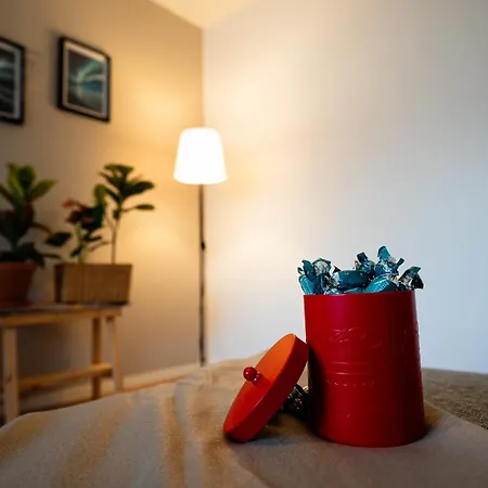 Toripuisto Northern Lights Apartment *
