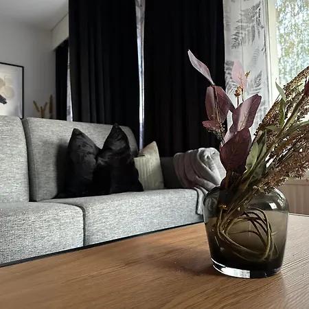 Apartment Cozy Rovaniemi