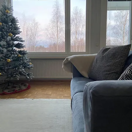 Lootinpetaejae * Rovaniemi