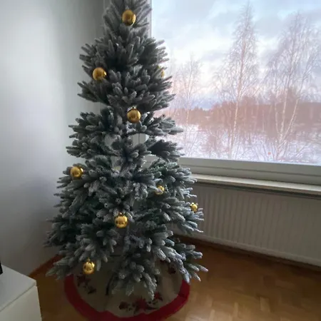 Lootinpetaejae Apartment Rovaniemi