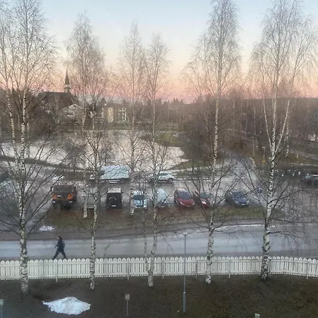Lootinpetaejae * Rovaniemi