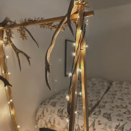 Cozy For Perfect Apartment