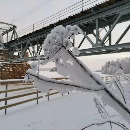 Omaloma Ulkoilijan Unelma *
