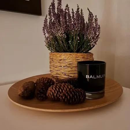 Pine * Rovaniemi