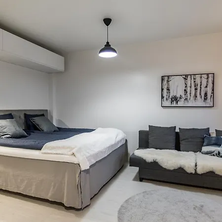 Northern Lights River Apartment Rovaniemi